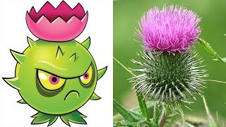 Plants vs Zombies 2 Plants In Real Life!