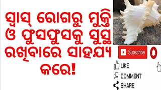 ସ୍ୱାସ୍ ରୋଗରୁ ମୁକ୍ତି ଓ ଫୁସଫୁସକୁ ସୁସ୍ଥ ରଖିବାରେ ସାହଯ୍ୟ କରେ! varkha mohapatra|Odia health tips|Odia vlog