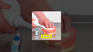 Electric Toothbrush Mistake Most People Make