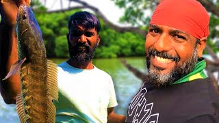 ලූල්ලු දඩයමේ ගියා | ලූල්ලන් පන්නෙ | Snakehead hunt | @wishwatiyubaya 🎣😲👣