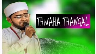 Thwaha Thangal New Song |💕 Sneham Marikkaruthe💕