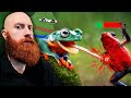 The Frog Tier List Reaction | Xeno Reacts to TierZoo