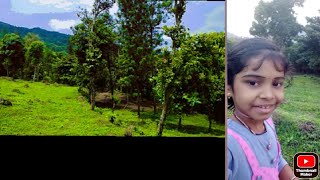 അമ്മുവിൻ്റെ ഒരു കിടിലൻ അട്ടപ്പാടി vlog