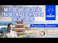 Métodos y sabidurías tradicionales chinas de Taichi-Qiqong, por Francisco Romero