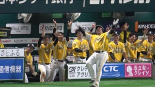 ベンチ全員‼️観客大合唱のどすこい‼️ホークス山川穂高第19号の勝越しホームラン⚾️ソフトバンクホークス対日本ハムファイターズ🔥鷹祭summerboost