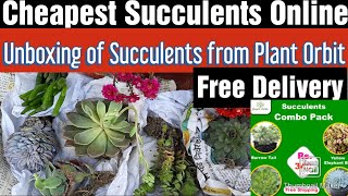 Unboxing of Succulents from Plant Orbit, Cheapest Succulents Online, Free Delivery on Combo Offers 😍