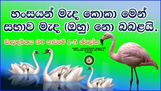 බාලාදර්ශ 30 වන පාඩමේ 1-5 ශ්ලෝක. Baladarshaya