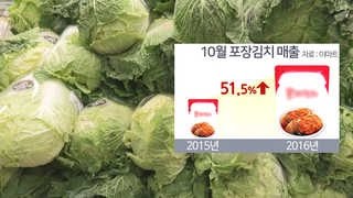 치솟은 배춧값…김장 대안 찾는 사람들