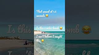 Video bomb 😂 Nature’s wonderful sound😂 #funnymoments#funny#wholettheburpsout#burp#oceansounds