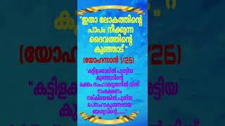 മനുഷ്യനായി അവതരിച്ച ദൈവത്തിന്റെ പുത്രൻ തന്നെ ബലിയാടാകുന്നു!#bibleworld #malayalam #trending