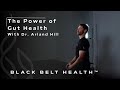 The Power of Gut Health | With Dr. Arland Hill