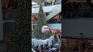 Woody the Talking Christmas Tree Returns to Nova Scotia Mall 🎄