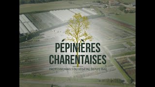 Découvrez les Pépinières Charentaises : Tradition, Innovation et Excellence