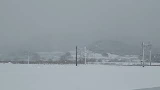 2019.2.8 弘南鉄道 大鰐線 ラッセル車出動