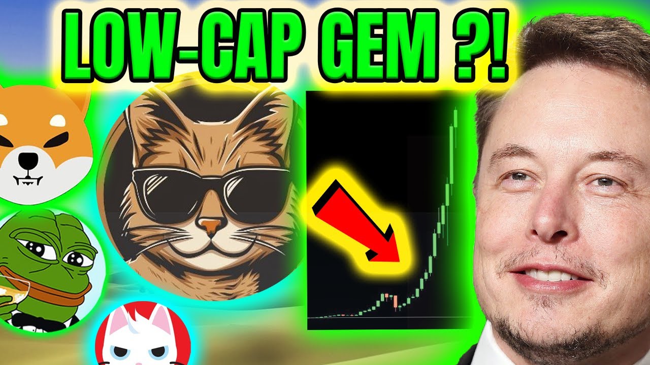 NEW SOLANA MEME COIN GEM ?!🚀 SUPER EARLY & LOW CAP MEMECOIN!!📡💎📈 NEXT ...