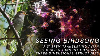Seeing Birdsong - Project Overview