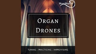 Organ Drone A