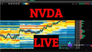 🐶🍎LIVE Daytrading Nvidia NVDA Using Bookmap 12.31.24 Auction Theory and Volume Profile