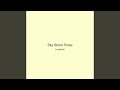 Sky Storm Pulse