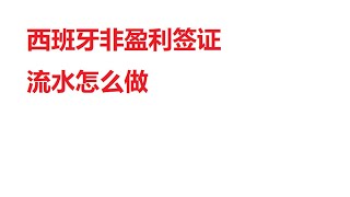 西班牙非盈利移民签证流水怎么做