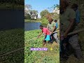 நல்ல வேல யாரும் பாக்கல🤣 viral fishingvideo trendingshorts funny funnyvideo funnyshorts