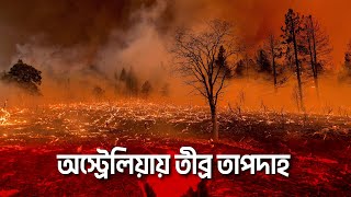 অস্ট্রেলিয়ায় তীব্র তাপদাহে ছড়িয়ে পড়তে পারে দাবানল | Severe heat in Australia | Poribesh TV