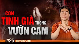 CON TINH GIÀ TRONG VƯỜN CAM - Chuyện Tâm Linh Tâm Kể