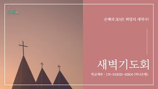 2023.11.29 더채움교회 새벽 예배 / 로마서 여행