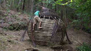 Construcción de cabaña con avellano. Cestería, land art, construcción y artesanía.