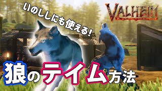 【 ヴァルヘイム 】 狼のテイム方法！いのししにも使えるよ！ 【 valheim 】