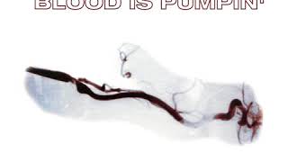 Voodoo & Serano - Blood Is Pumping (Blakjak's Re-Jak'd Bootleg)