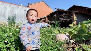 Mother and son went to work in the fields. What did the 2-year-old son find? Hurry up and call my m