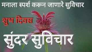 Good morning suvichar | Most Motivated Suvichar | मनाला मोहिनी घालणारे भारी सुविचार | Supper Thought