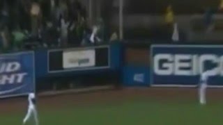 韓国人が段ボールを投げつけ 多村のホームランを阻止しようとする!!　WBC 2006 日本vs 韓国　日韓戦