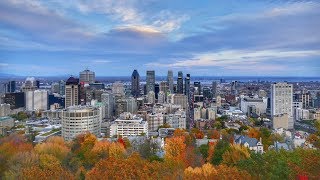 Autumn colours in Montréal