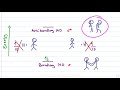 molecular orbital mo theory simplified for sigma and pi bonds