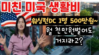 충격적인 미국생활비, 혼자사는데 월 500만원이라니!!!월 천만원 벌어도 워싱턴에서는 거지라는 이유, 살인적인 미국물가, 미국생활 힘들다, 도대체 얼마를 벌어야 하나?