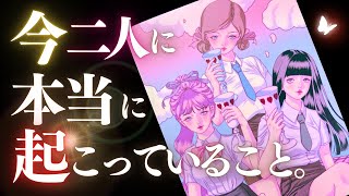 ➳❤︎恋愛タロット :: 今あなたとあの人に本当に起こっていること、全部チェック。 そこから見えるあの人の気持ちも一気にキャッチ🕸️✨💕 #tarot  (2025/2/7)