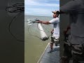 Catching shrimp with cast net in Texas #fishing #shrimp #america