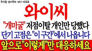 [와이씨 주가전망] \