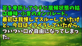 【スカッとひろゆき】足を骨折してウチに居候状態の姑は嫌味･小言のオンパレード。最初は我慢してスルーしていたけど、今日はイライラしていたから、ついつい口が自由になってしまった。