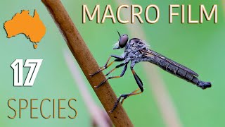 I recorded 17 AMAZING SPECIES with my 2X Ultra Macro Lens!