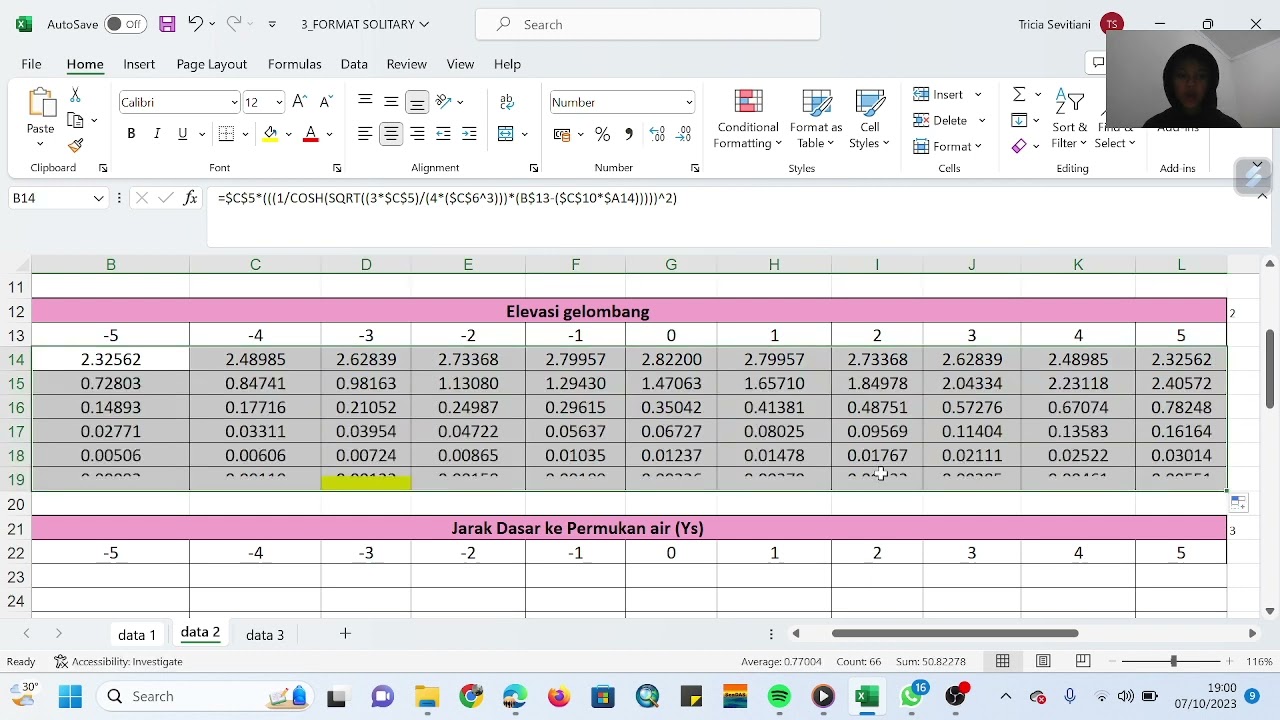 Olah Data Gelombang Laut | Modul 2: Teori Gelombang Solitary | Tricia S ...