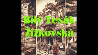 BÍLÝ TESÁK - Žižkovská (Official Video)