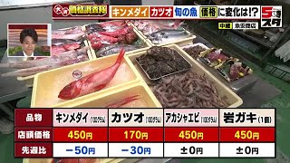 キンメダイにカツオ 旬の魚の価格に変化は【価格調査】（2022年5月19日）