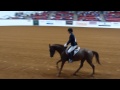 Mustang Million Legends 2013 - Elisa Wallace & Rune (Reining Class)