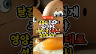 달걀은 이렇게 조리해야 영양소를 제대로 섭취합니다! 🥚🍳 #건강정보 #달걀효능