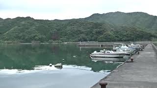 森崎浦漁港　釣っちゃ王の近くの漁港　大分県佐伯市蒲江森崎