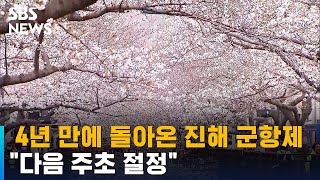 4년 만에 돌아온 진해 군항제…\