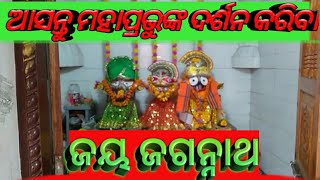 🙏ଜୟ ଜଗନ୍ନାଥ🙏ଆଜି ନୂଆବର୍ଷରେ ପ୍ରଭୂ ଶ୍ରୀକ୍ଷେତ୍ରମଣୀ ଜଗା ଓ ତ୍ରିନାଥ ଦେବଙ୍କର ଦର୍ଶନ କରିବା🙏🏵️Jay Jagannath🏵️🏵️